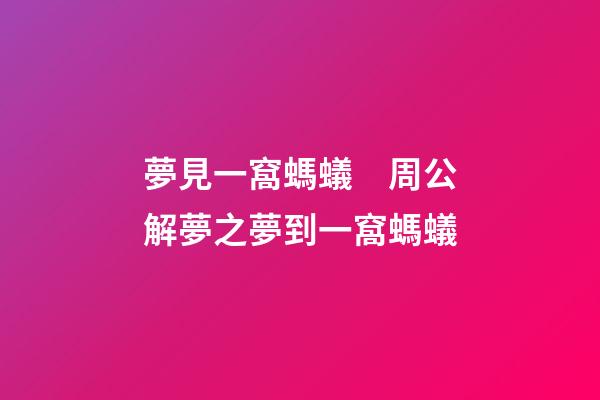 夢見一窩螞蟻　周公解夢之夢到一窩螞蟻